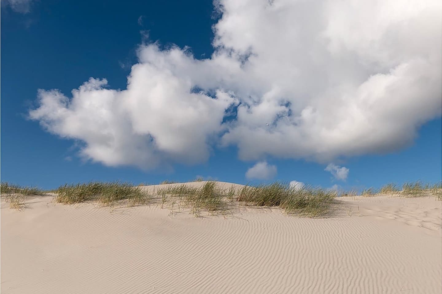 Duinen Terschelling, wandeling vanuit vakantiehuis Noordhoek