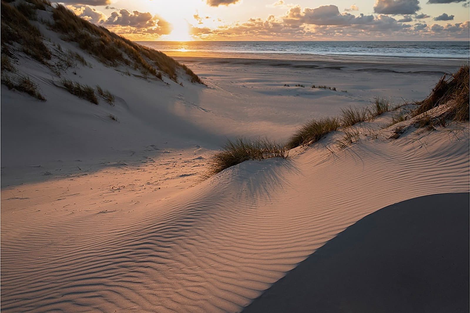 Duinen Terschelling, natuur rondom vakantiehuis Apenstaartje verhuur