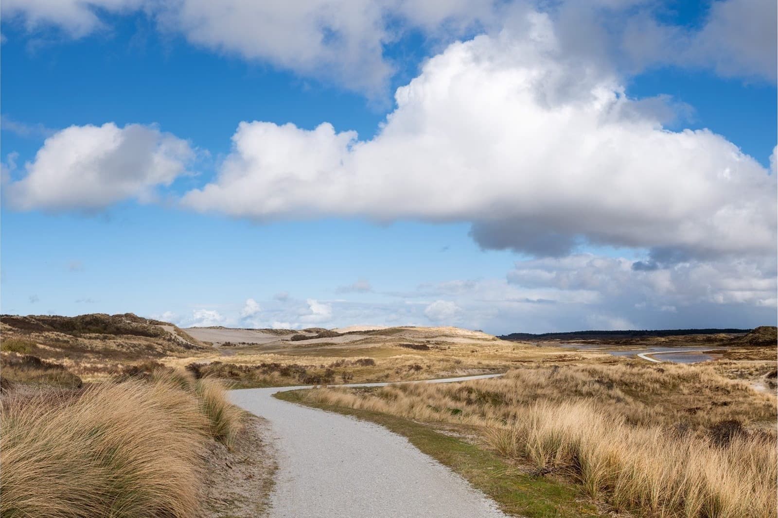 Duinen Terschelling, natuur rond vakantieverhuur Midsland aan Zee