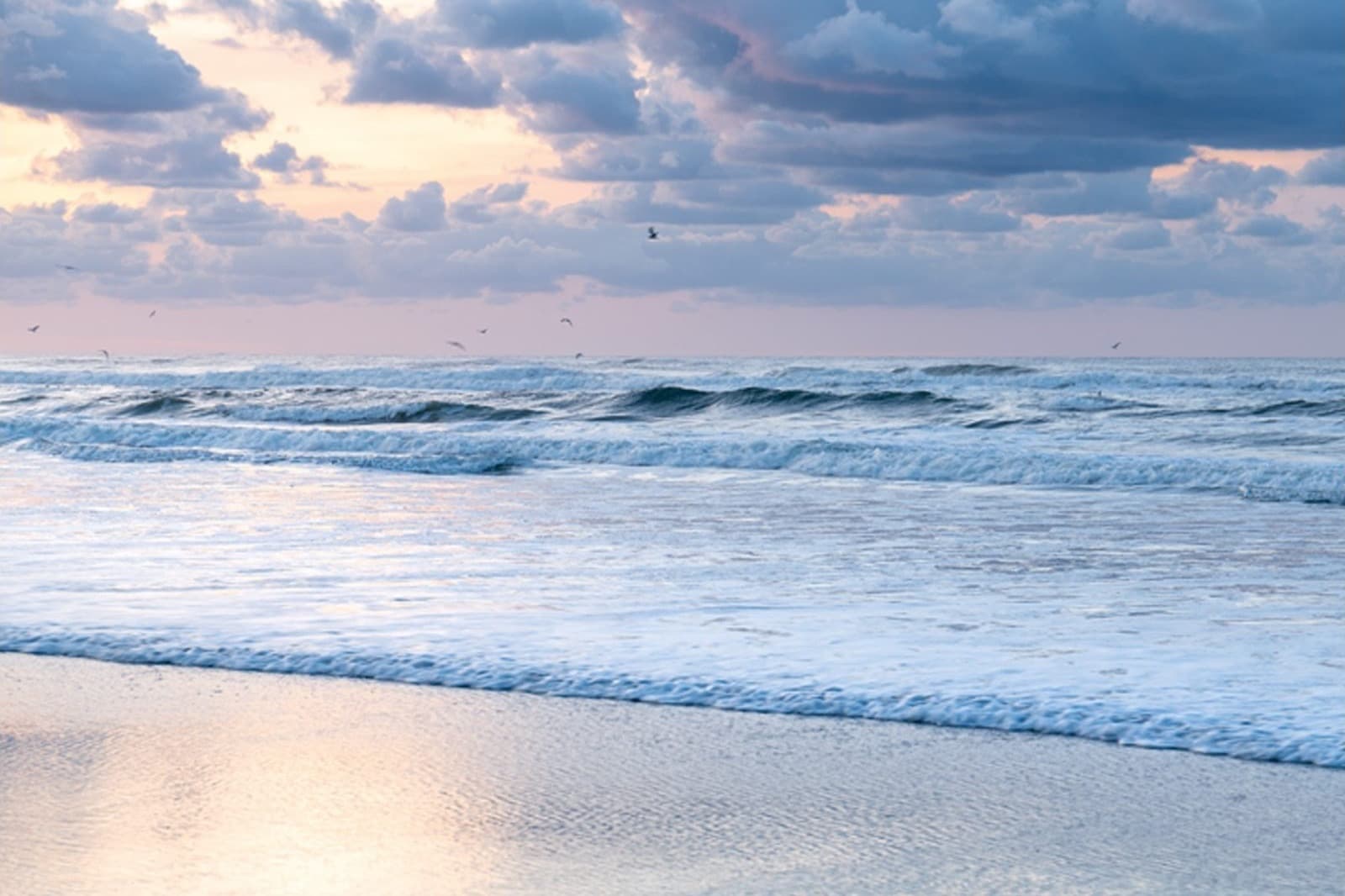 Strand Terschelling bij laagwater, Midsland aan Zee verhuur vakantiehuis
