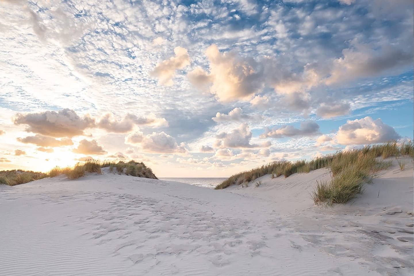 Strand Terschelling, verhuur vakantiehuis Noordhoek