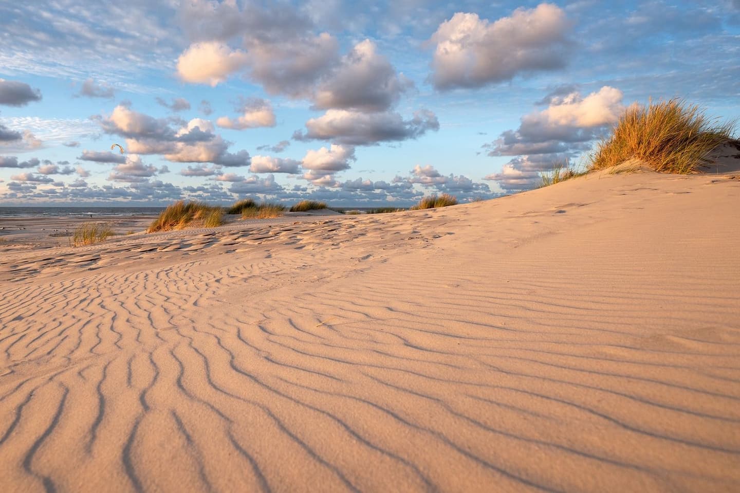 Strand Terschelling bij laagwater, vakantiehuis Noordhoek verhuur