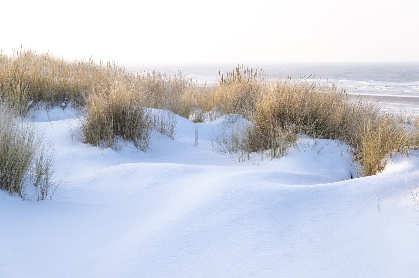 Winterstrand Terschelling Midsland aan Zee, vakantieverhuur alle seizoenen