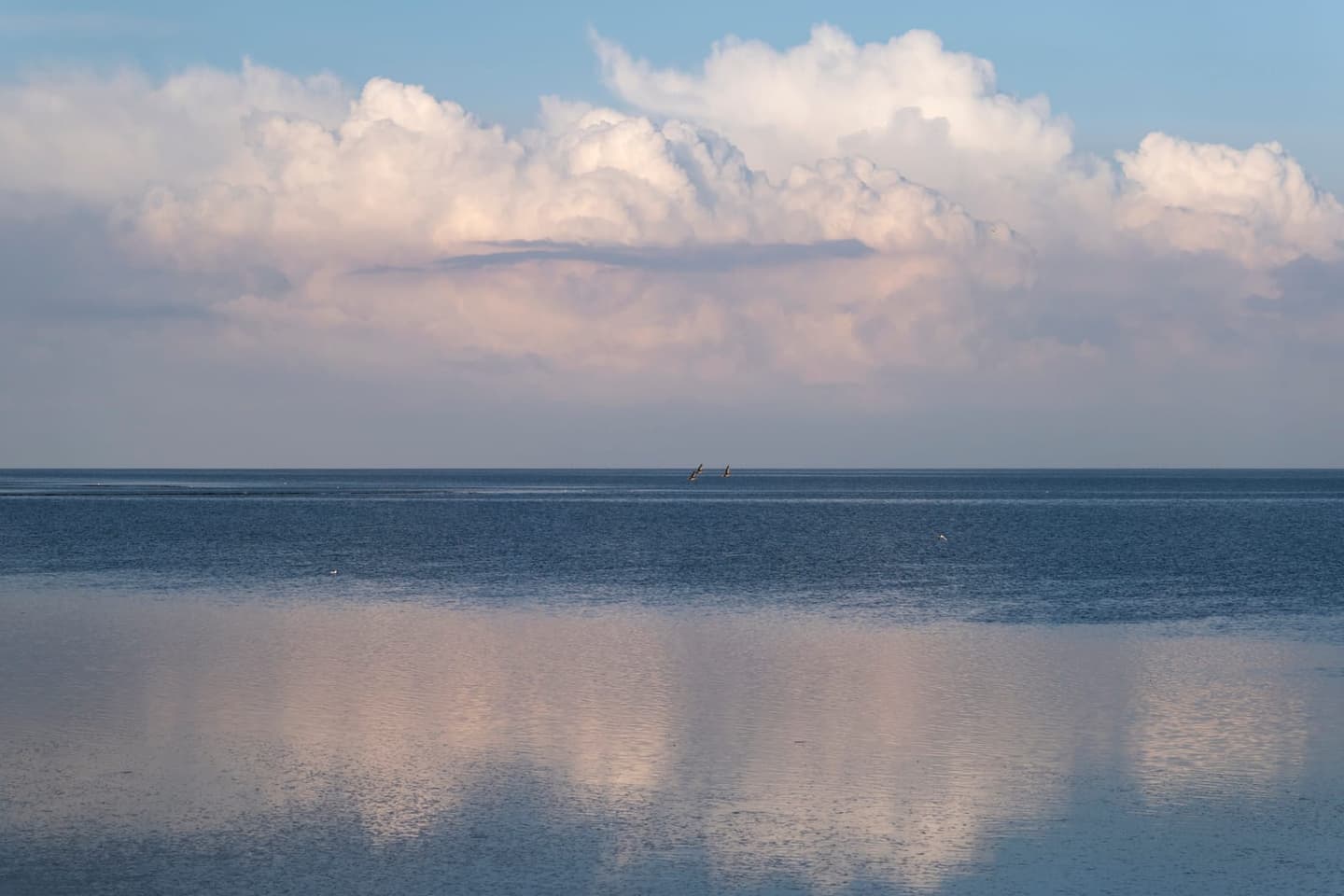 Strand Terschelling, vakantie aan zee bij vakantiehuis Noordhoek